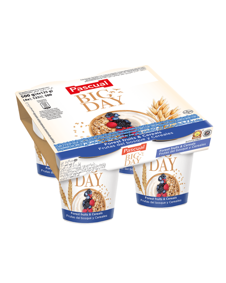 Pascual Big Day Yogurt with Forest Fruits and Cereals 500g