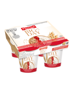 Pascual Big Day Yogurt with Strawberries and Cereals 500g