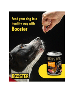 Booster Chicken Turkey & Carrots Dog Food in Gravy 24-Cans